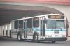 LB170-DSC_2029.jpg