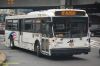 NJT5213-DSC_1133a.jpg
