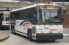 NJT7054-DSC_1129a.jpg