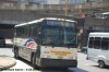 NJT7532-dsc0339awm3.jpg