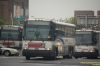 NJT7797-DSC_1109a.jpg