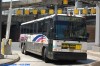 NJT7852-dsc0301ajv2.jpg