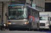 NYAS171-DSC_1482a.jpg