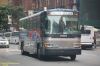 NYAS173-DSC_1139a.jpg