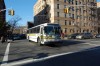 Pace8829-dsc0422co0.jpg