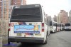 dsc01379sy7.jpg