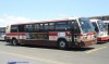 dsc01506sf2.jpg