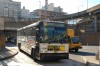 dsc0155ls3.jpg