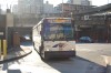 dsc0165on6.jpg