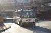 dsc0176fw5.jpg