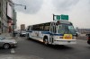 dsc0178fe1.jpg