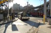 dsc0185ey5.jpg