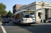 dsc02413yx7.jpg