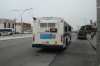 dsc02466yy7.jpg