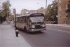 mabstoa_6456.jpg