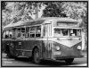 Triboro_White_798__82nd_st_Woodside.jpg