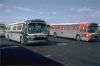 normal_CommandBus290atGarage3-1-81DG.jpg