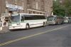 normal_GreenBus1001onRtQ10atKewGardensBlvd-81Ave6-28-79DG.jpg