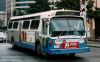 SDT962.jpg