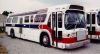 carta954.jpg