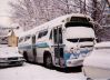 snowbus1.jpg