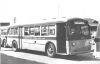 GBL_#_115_(M_Q).jpg