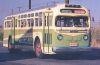 GREEN_335.jpg
