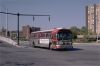 LibertyCoaches325onRt1atTarrytownStn5-8-81SZ.jpg