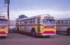 183_HempsteadBus262inOakStYardUniondaleNYMotorBusSoc%26ScanColl.jpg