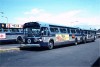36___MABSTOA4810.jpg