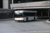 Avis2_122908_JDevlin.jpg