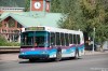 260-3.jpg