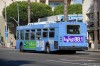 3856-2.jpg
