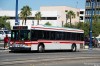 490.jpg