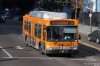 7703.jpg