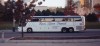 450_NEOPLAN.jpg