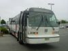 NJT2602-DSC00454.JPG