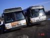 NJT_3233_3566.JPG