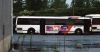 NJT_Flxible_2248.JPG