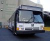 NJT_Flxible_3556.JPG