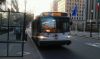 NJT_Nabi_5292.jpg
