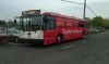 NJT_Nabi_5300.jpg
