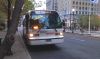 NJT_Nova_2688.jpg