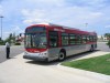 8020s.jpg