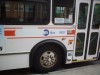 DSCF0170.JPG