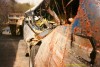 3073-010.jpg