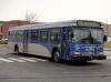DSC00587.jpg