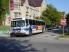 DSC01296.JPG