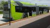 IMAG0055.jpg