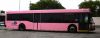 MDTA_NABI_2148_pink_1.JPG
